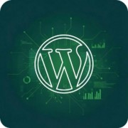 WordPress SEO